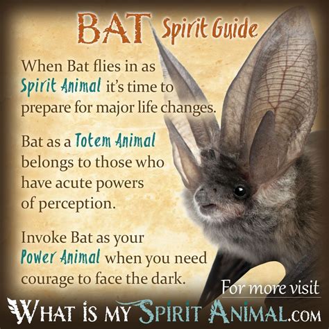 Spirit wifch bat